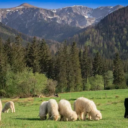 Gorska Przystan &